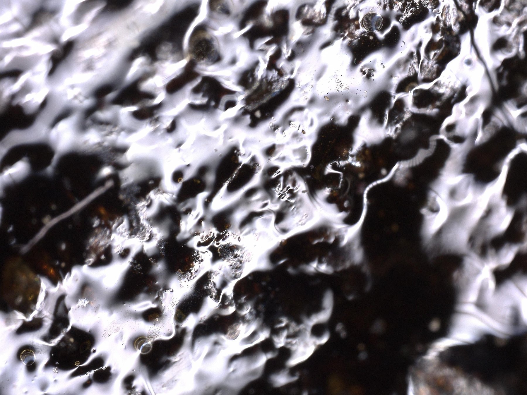 Waves of the Moon