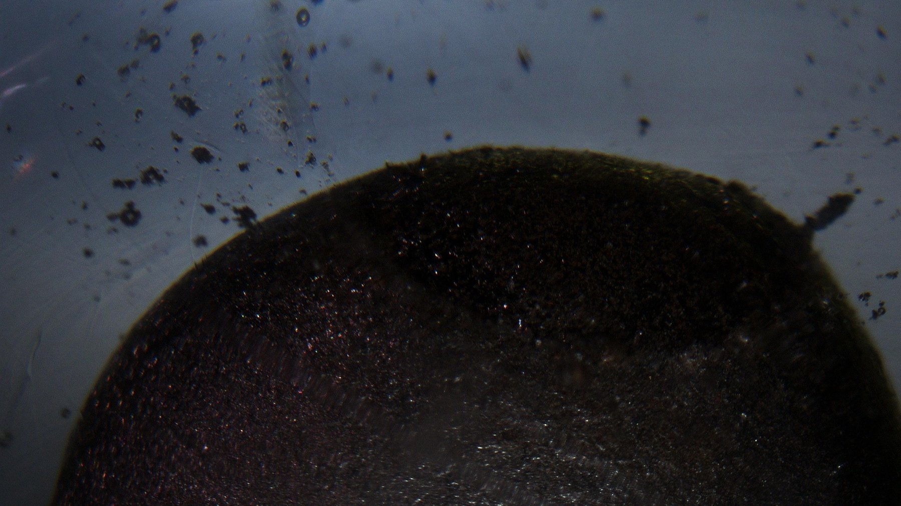 Celestial body and fragments within the glass